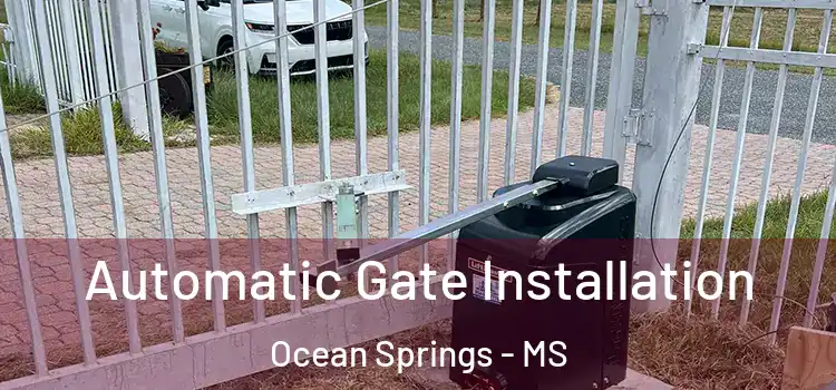  Automatic Gate Installation Ocean Springs - MS
