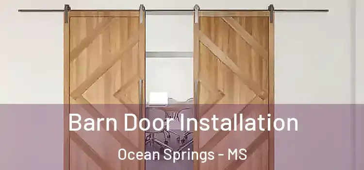  Barn Door Installation Ocean Springs - MS