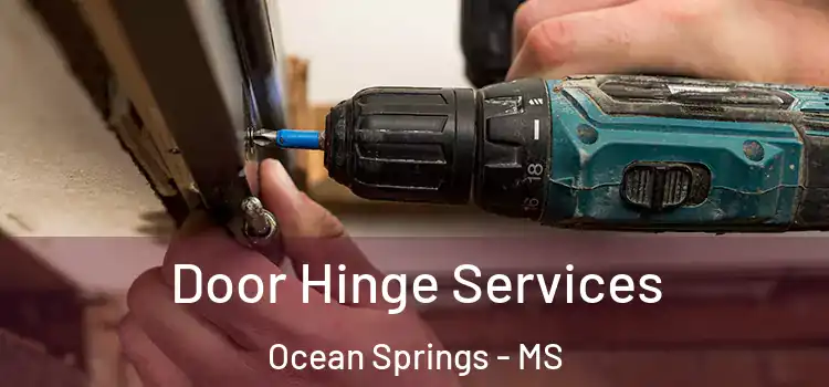  Door Hinge Services Ocean Springs - MS