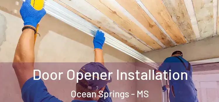  Door Opener Installation Ocean Springs - MS