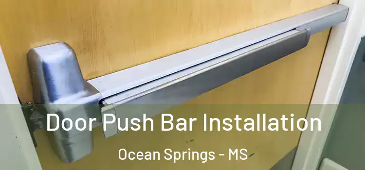  Door Push Bar Installation Ocean Springs - MS