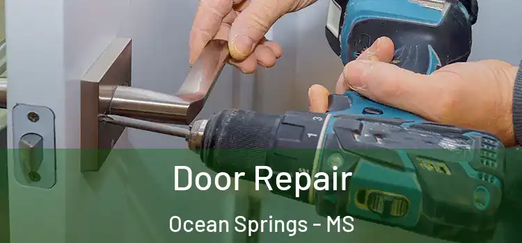  Door Repair Ocean Springs - MS