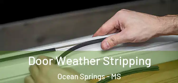  Door Weather Stripping Ocean Springs - MS