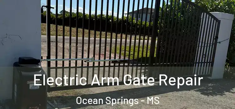  Electric Arm Gate Repair Ocean Springs - MS