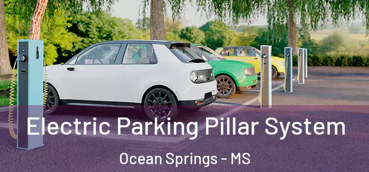  Electric Parking Pillar System Ocean Springs - MS