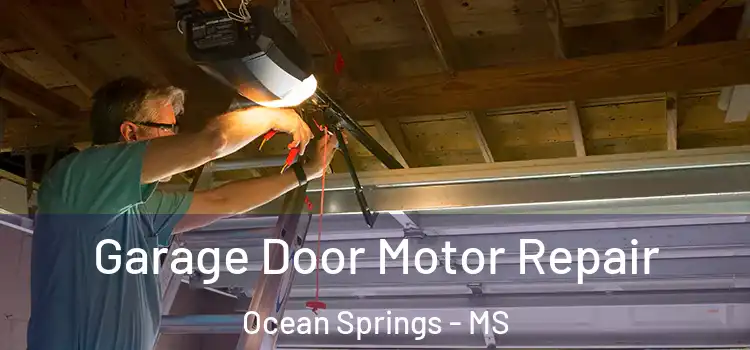  Garage Door Motor Repair Ocean Springs - MS