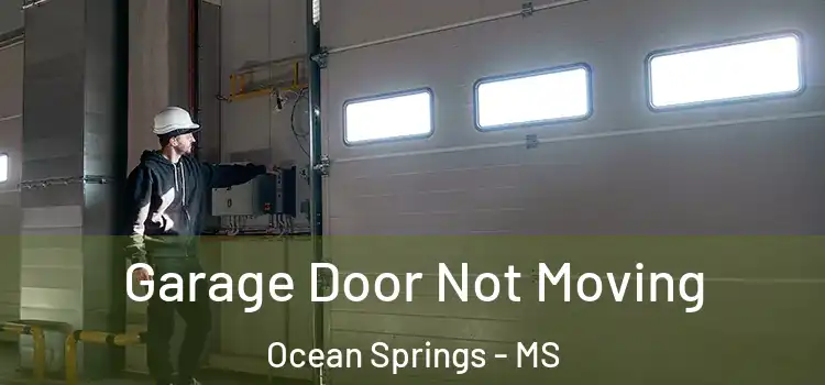  Garage Door Not Moving Ocean Springs - MS