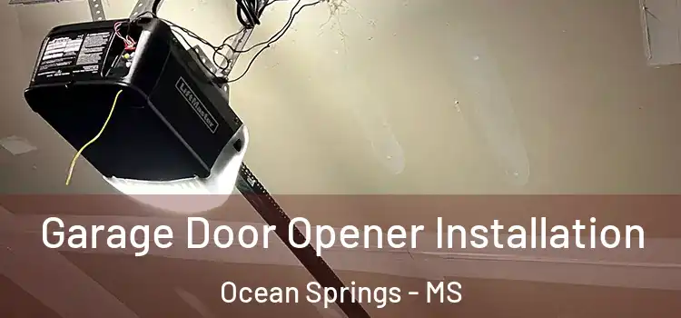  Garage Door Opener Installation Ocean Springs - MS