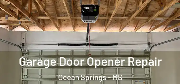 Garage Door Opener Repair Ocean Springs - MS