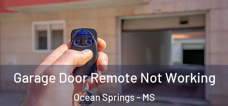  Garage Door Remote Not Working Ocean Springs - MS
