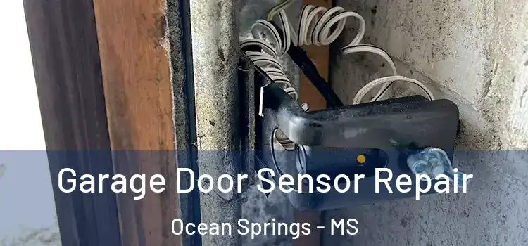  Garage Door Sensor Repair Ocean Springs - MS