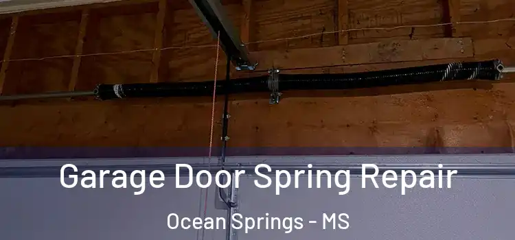  Garage Door Spring Repair Ocean Springs - MS