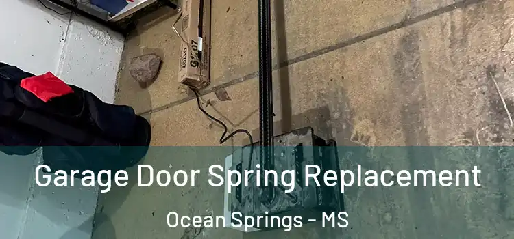  Garage Door Spring Replacement Ocean Springs - MS
