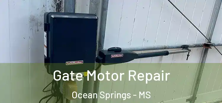  Gate Motor Repair Ocean Springs - MS