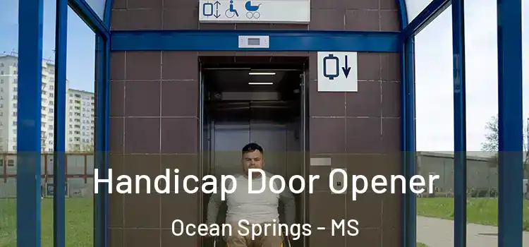 Handicap Door Opener Ocean Springs - MS