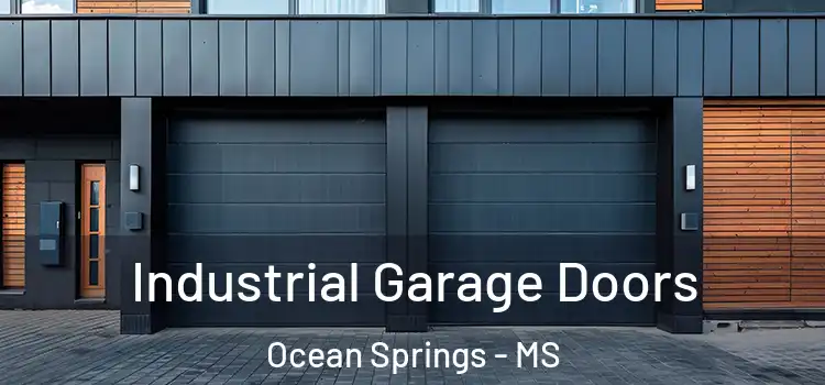  Industrial Garage Doors Ocean Springs - MS