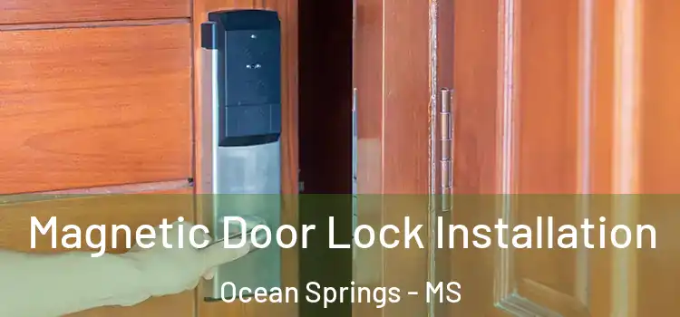  Magnetic Door Lock Installation Ocean Springs - MS