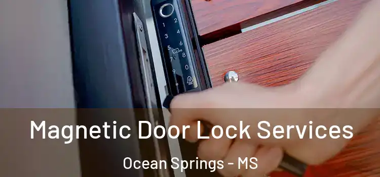  Magnetic Door Lock Services Ocean Springs - MS