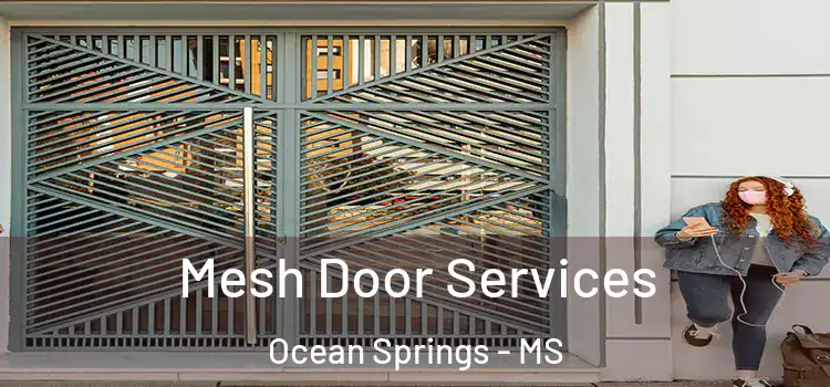  Mesh Door Services Ocean Springs - MS