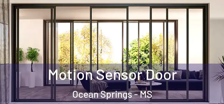  Motion Sensor Door Ocean Springs - MS