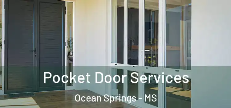  Pocket Door Services Ocean Springs - MS