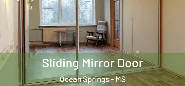  Sliding Mirror Door Ocean Springs - MS