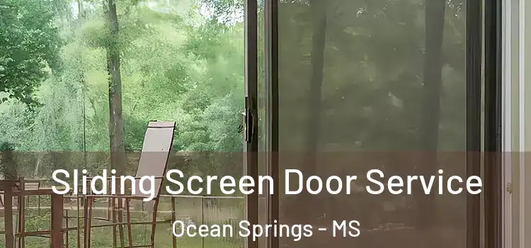  Sliding Screen Door Service Ocean Springs - MS
