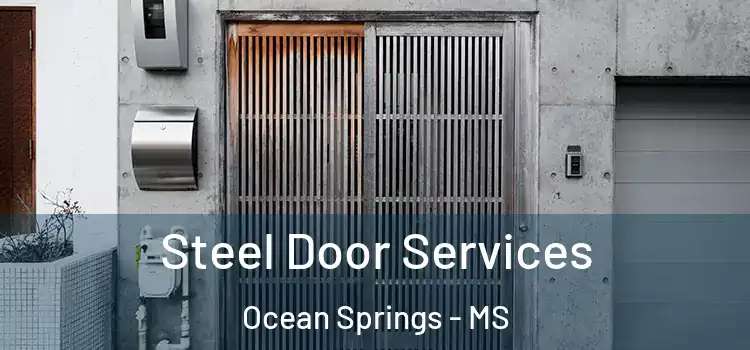  Steel Door Services Ocean Springs - MS