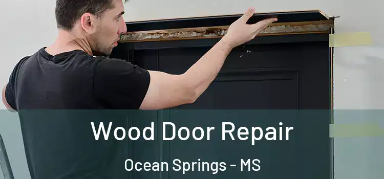  Wood Door Repair Ocean Springs - MS